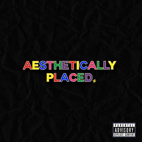 Dave Steezy - Aesthetically Placed