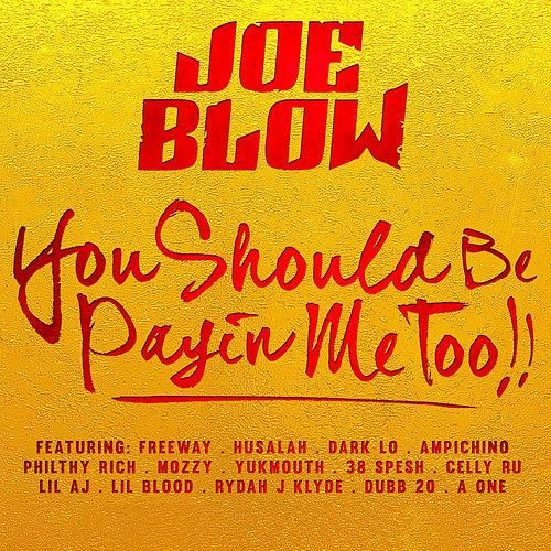 Joe Blow – You Should Be Payin Me Too!!
