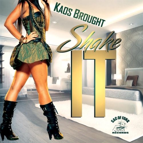 Kaos Brought – Shake It