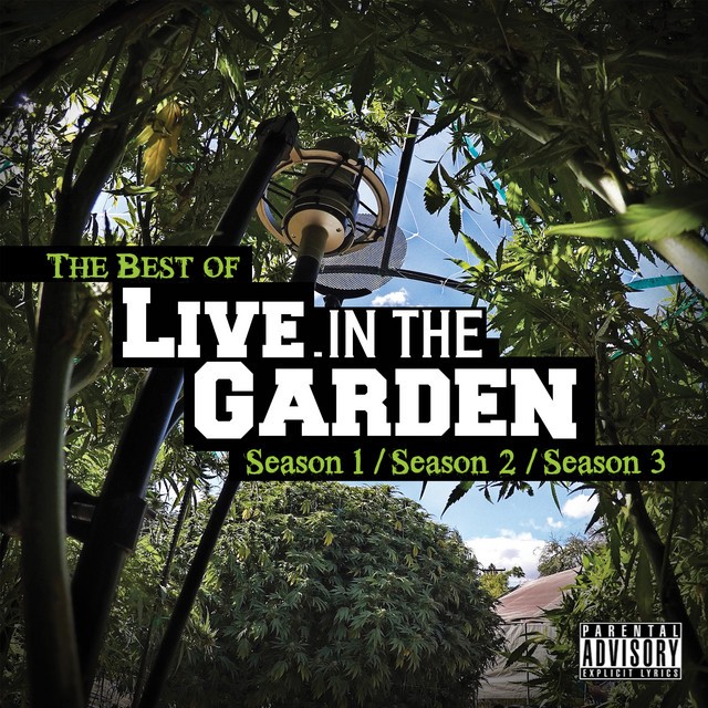 Mendo Dope – The Best Of Live In The Garden