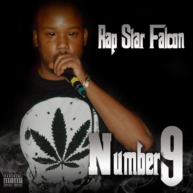 Rap Star Falcon - Number9