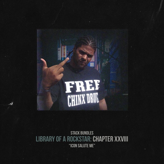 Stack Bundles – Library Of A Rockstar: Chapter 28 – Icon Salute Me