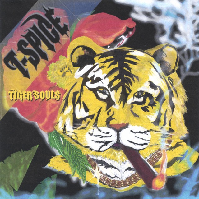 T-Spice - Tiger Souls
