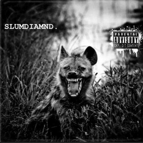 Various - SlumDiamnD