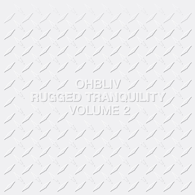ohbliv - Rugged Tranquility Volume 2